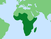 Africa