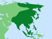 Asia